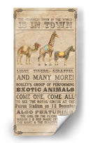 Colección De Circo Vintage B - Grace Popp | Cuadro decorativo de Canvas Lab