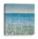 Floraciones Costeras Ii - Tim OToole | Cuadro decorativo de Canvas Lab