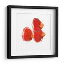 Discus Fish Vi - Emma Scarvey | Cuadro decorativo de Canvas Lab