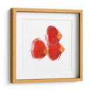 Discus Fish Vi - Emma Scarvey | Cuadro decorativo de Canvas Lab