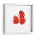 Discus Fish Vi - Emma Scarvey | Cuadro decorativo de Canvas Lab