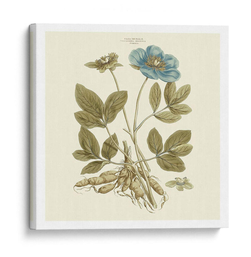 Custom Bashful Blue Florals I - John Miller | Cuadro decorativo de Canvas Lab