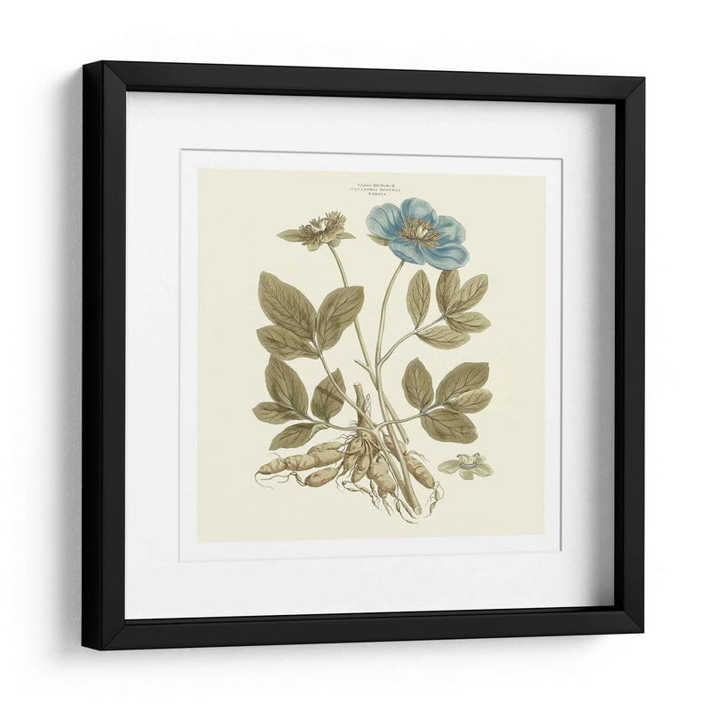 Custom Bashful Blue Florals I - John Miller | Cuadro decorativo de Canvas Lab