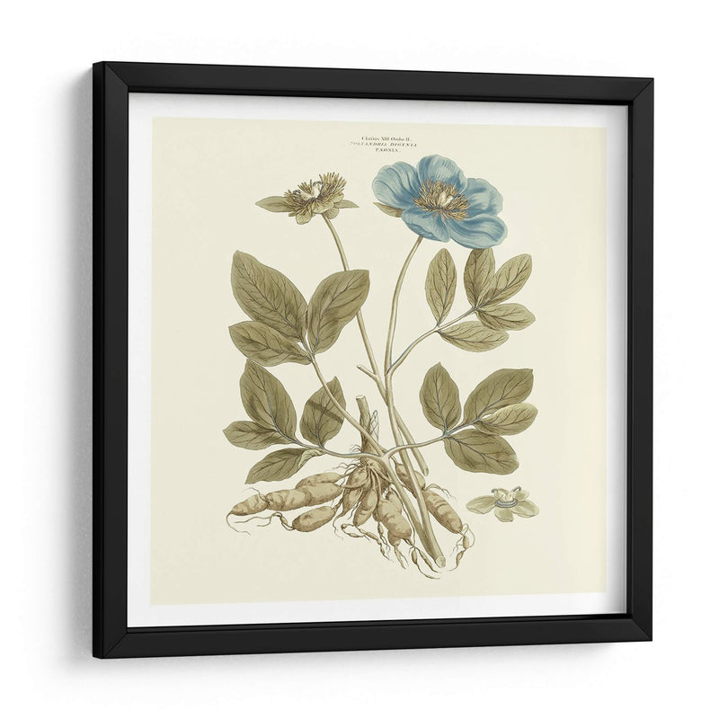 Custom Bashful Blue Florals I - John Miller | Cuadro decorativo de Canvas Lab