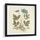 Custom Bashful Blue Florals I - John Miller | Cuadro decorativo de Canvas Lab