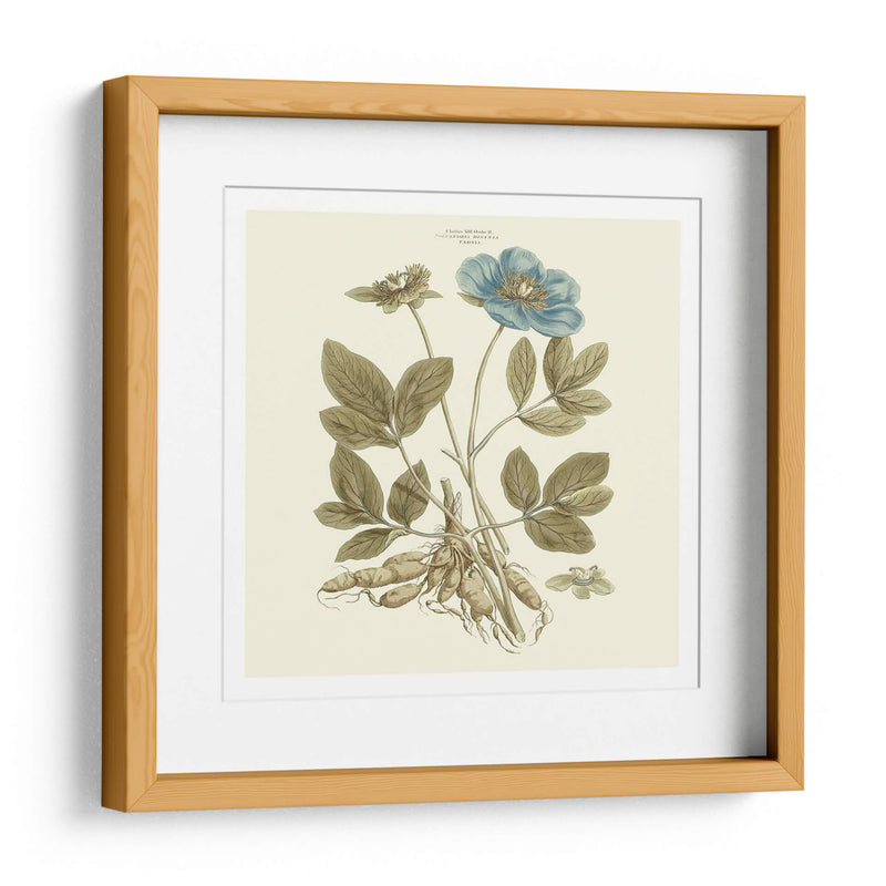 Custom Bashful Blue Florals I - John Miller | Cuadro decorativo de Canvas Lab