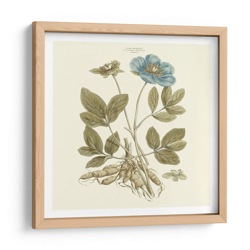 Custom Bashful Blue Florals I - John Miller | Cuadro decorativo de Canvas Lab