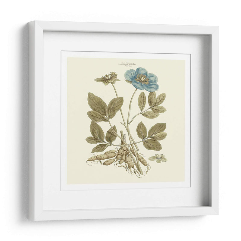 Custom Bashful Blue Florals I - John Miller | Cuadro decorativo de Canvas Lab