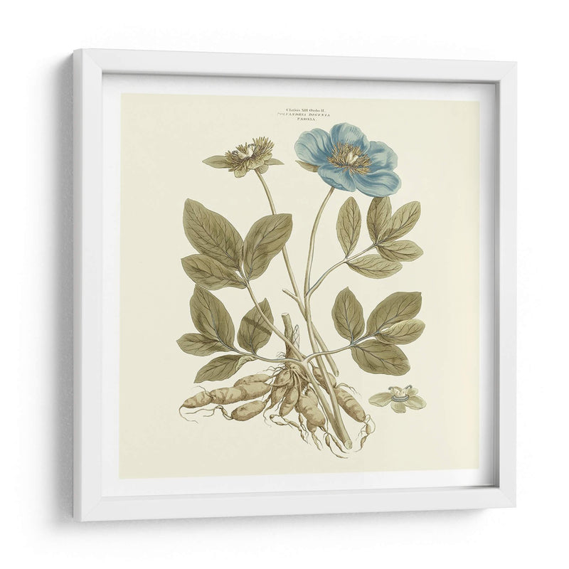 Custom Bashful Blue Florals I - John Miller | Cuadro decorativo de Canvas Lab