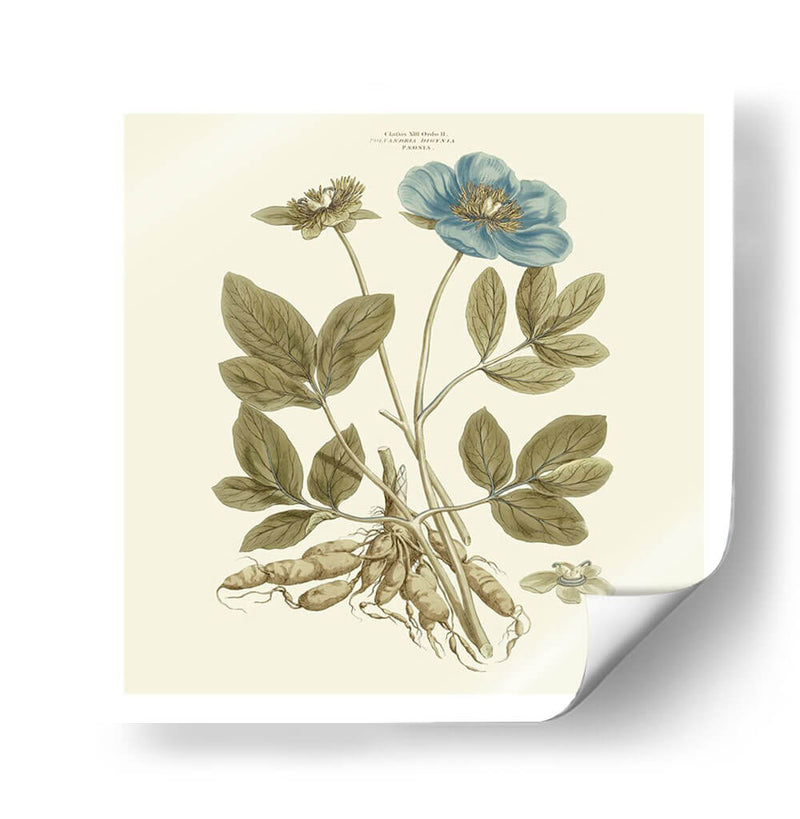 Custom Bashful Blue Florals I - John Miller | Cuadro decorativo de Canvas Lab