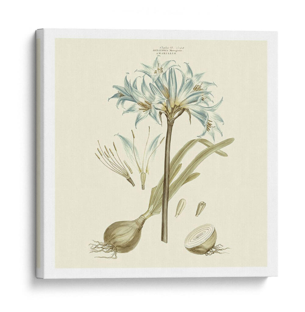 Custom Bashful Blue Florals Ii - John Miller | Cuadro decorativo de Canvas Lab