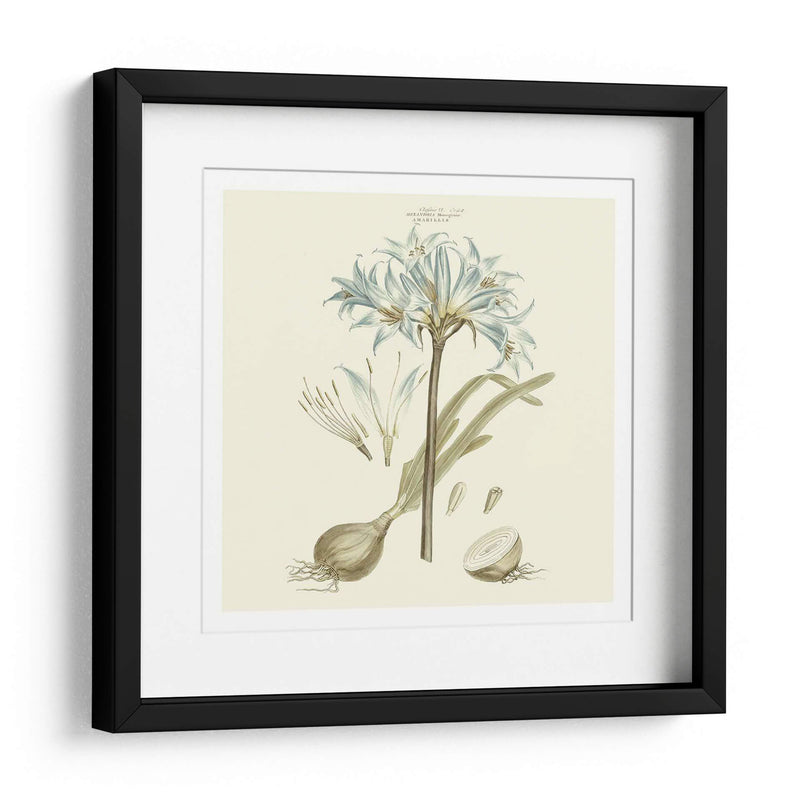 Custom Bashful Blue Florals Ii - John Miller | Cuadro decorativo de Canvas Lab