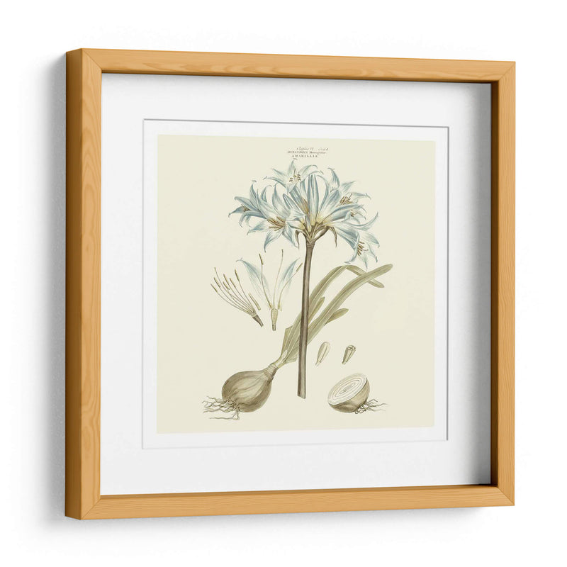 Custom Bashful Blue Florals Ii - John Miller | Cuadro decorativo de Canvas Lab