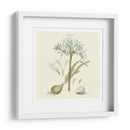 Custom Bashful Blue Florals Ii - John Miller | Cuadro decorativo de Canvas Lab