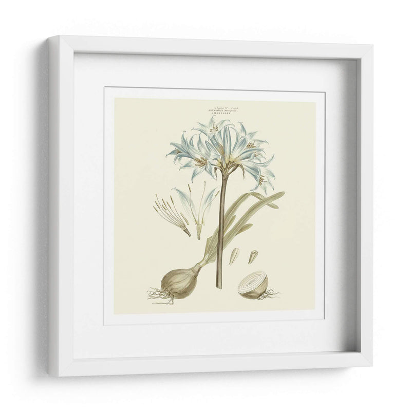 Custom Bashful Blue Florals Ii - John Miller | Cuadro decorativo de Canvas Lab