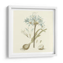 Custom Bashful Blue Florals Ii - John Miller | Cuadro decorativo de Canvas Lab