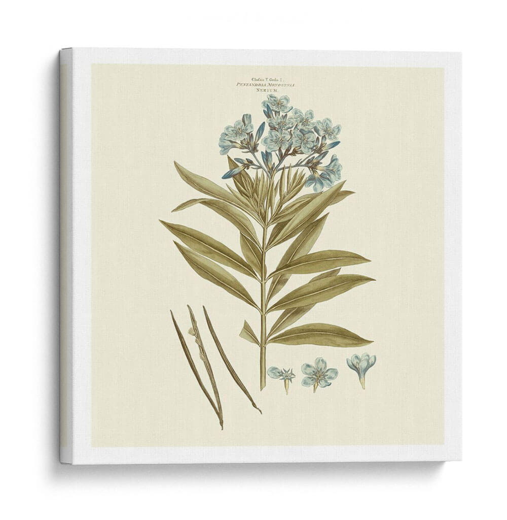 Custom Bashful Blue Florals Iii - John Miller | Cuadro decorativo de Canvas Lab