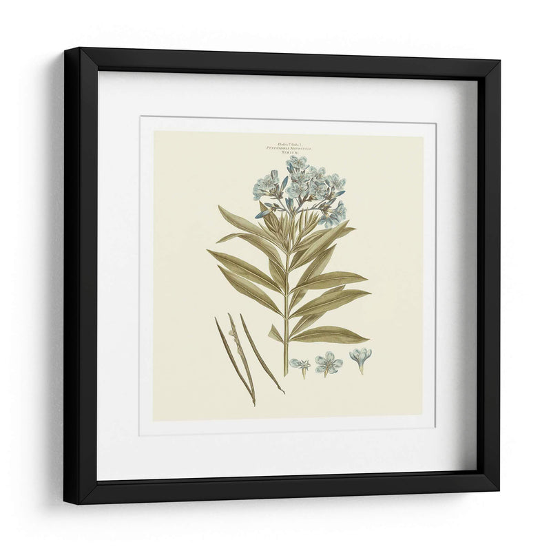 Custom Bashful Blue Florals Iii - John Miller | Cuadro decorativo de Canvas Lab