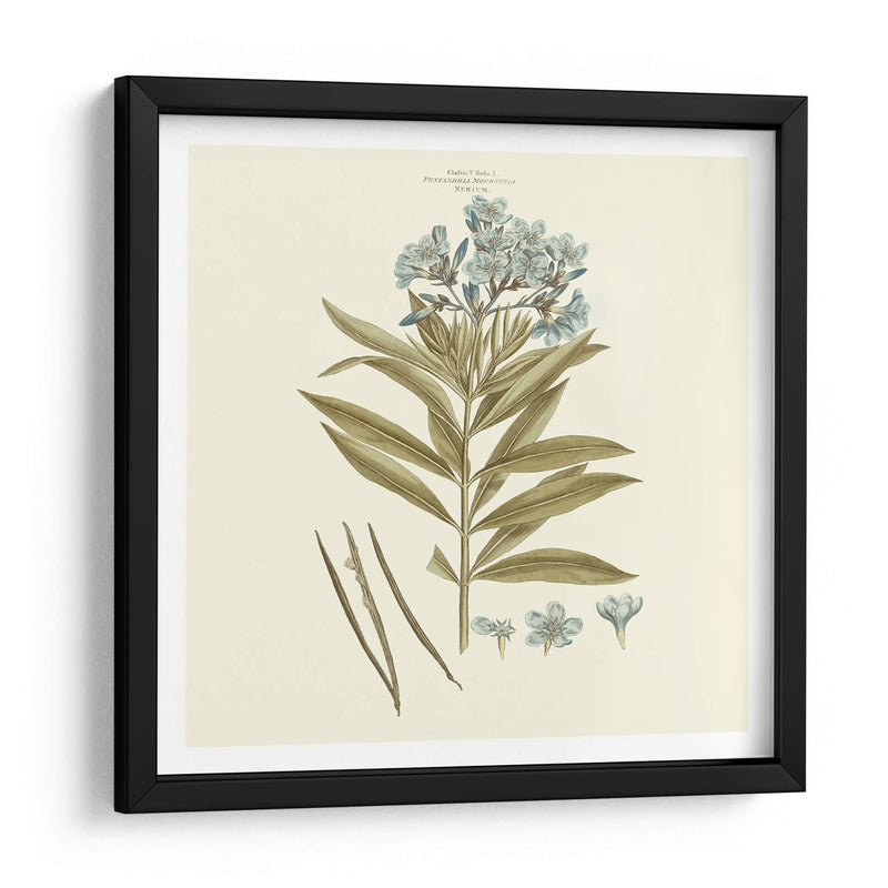 Custom Bashful Blue Florals Iii - John Miller | Cuadro decorativo de Canvas Lab