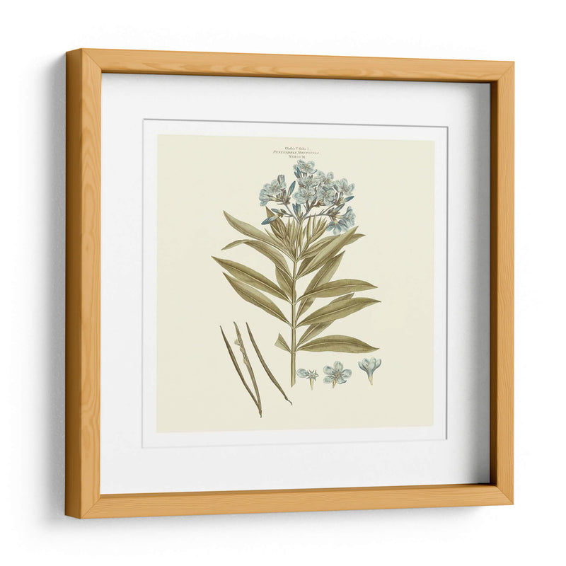 Custom Bashful Blue Florals Iii - John Miller | Cuadro decorativo de Canvas Lab