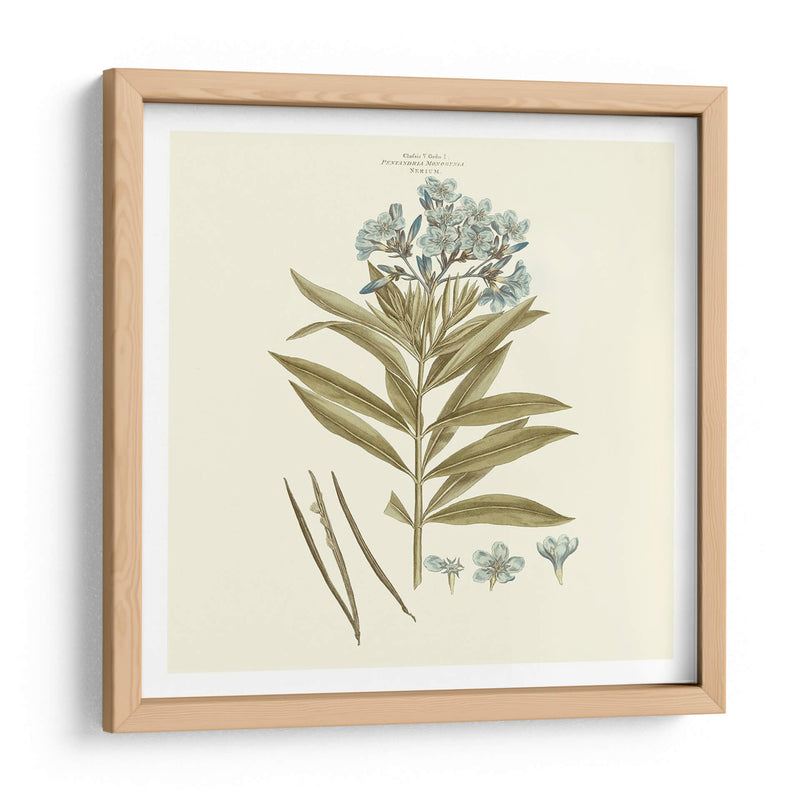 Custom Bashful Blue Florals Iii - John Miller | Cuadro decorativo de Canvas Lab