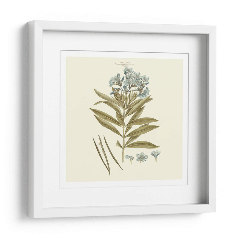 Custom Bashful Blue Florals Iii - John Miller | Cuadro decorativo de Canvas Lab