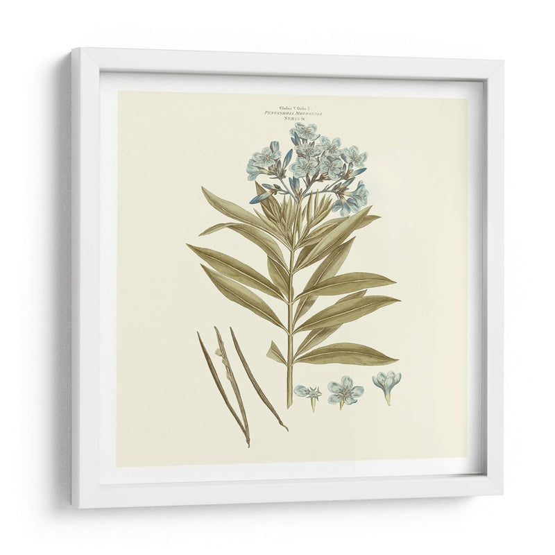 Custom Bashful Blue Florals Iii - John Miller | Cuadro decorativo de Canvas Lab