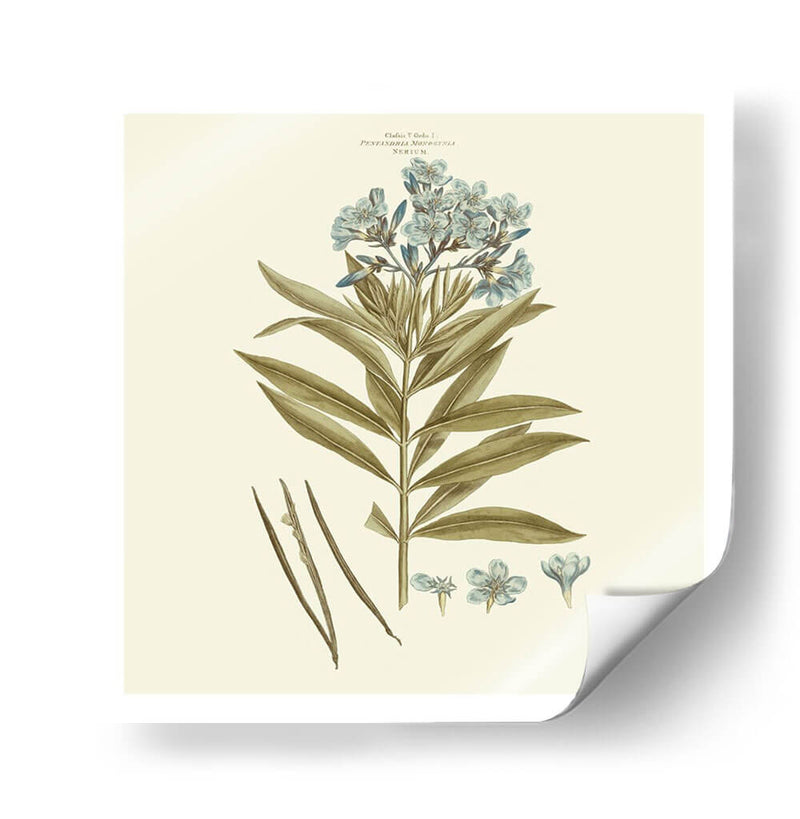 Custom Bashful Blue Florals Iii - John Miller | Cuadro decorativo de Canvas Lab