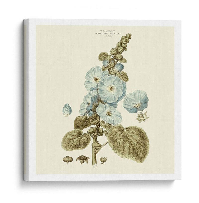 Custom Bashful Blue Florals Iv - John Miller | Cuadro decorativo de Canvas Lab