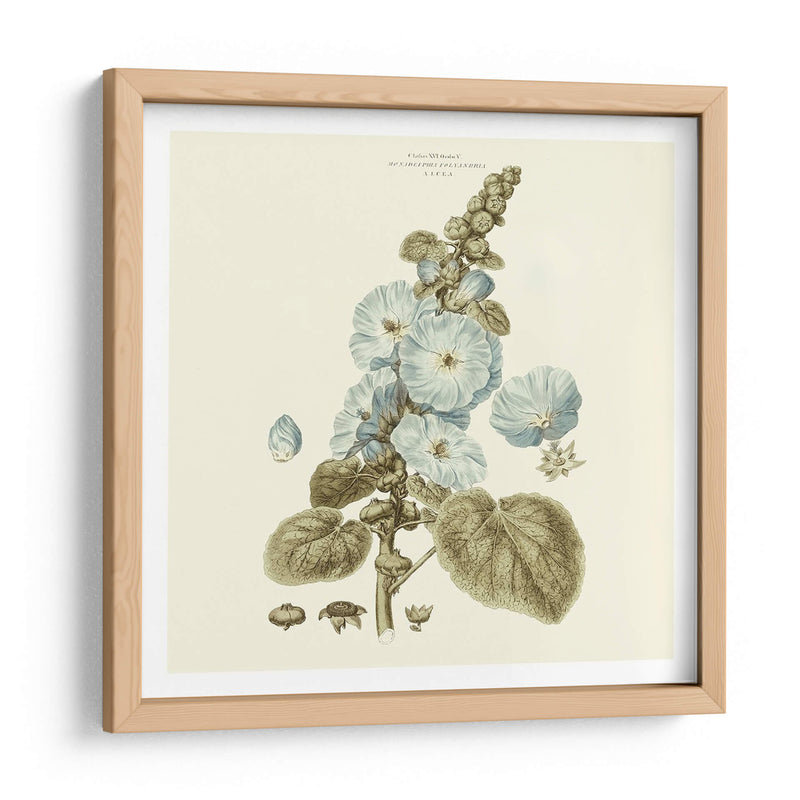 Custom Bashful Blue Florals Iv - John Miller | Cuadro decorativo de Canvas Lab