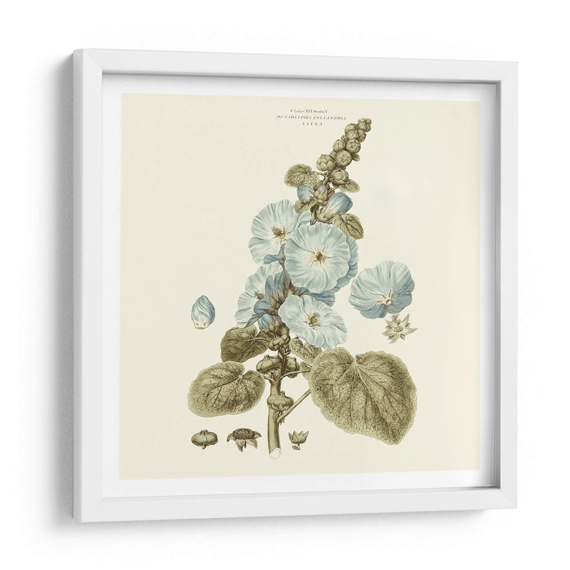 Custom Bashful Blue Florals Iv - John Miller | Cuadro decorativo de Canvas Lab