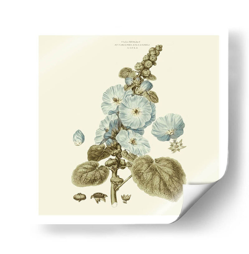 Custom Bashful Blue Florals Iv - John Miller | Cuadro decorativo de Canvas Lab