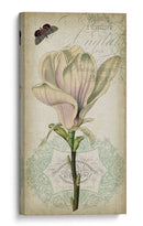 Cartouche Y Floral I - Jennifer Goldberger | Cuadro decorativo de Canvas Lab