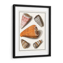 Conchas Recolectadas Ix - Vision Studio | Cuadro decorativo de Canvas Lab
