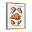 Conchas Recolectadas Ix - Vision Studio | Cuadro decorativo de Canvas Lab