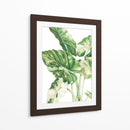 Alocasia Variegada - Blanca Aurora | Cuadro decorativo de Canvas Lab