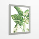 Alocasia Variegada - Blanca Aurora | Cuadro decorativo de Canvas Lab