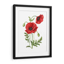 Amapola - Blanca Aurora | Cuadro decorativo de Canvas Lab