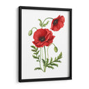 Amapola - Blanca Aurora | Cuadro decorativo de Canvas Lab