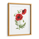 Amapola - Blanca Aurora | Cuadro decorativo de Canvas Lab