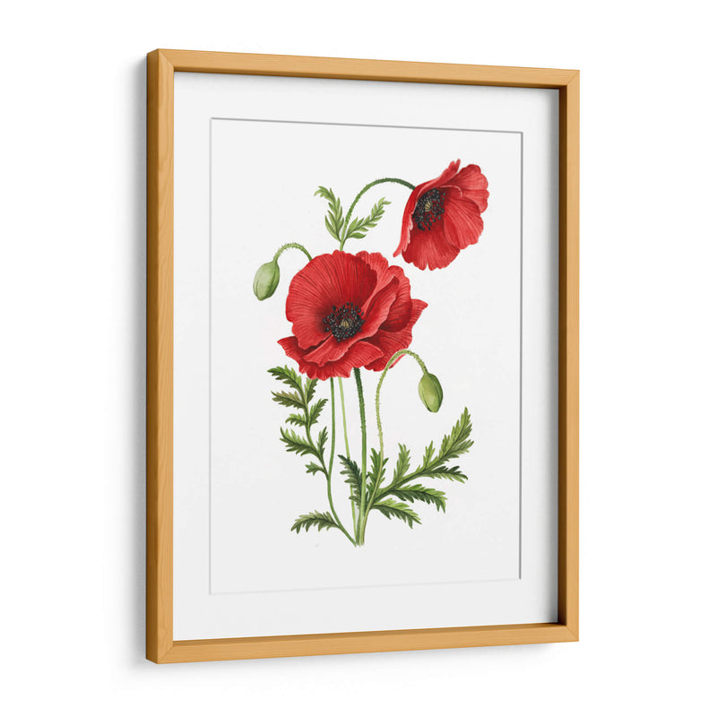 Amapola - Blanca Aurora | Cuadro decorativo de Canvas Lab