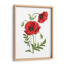 Amapola - Blanca Aurora | Cuadro decorativo de Canvas Lab