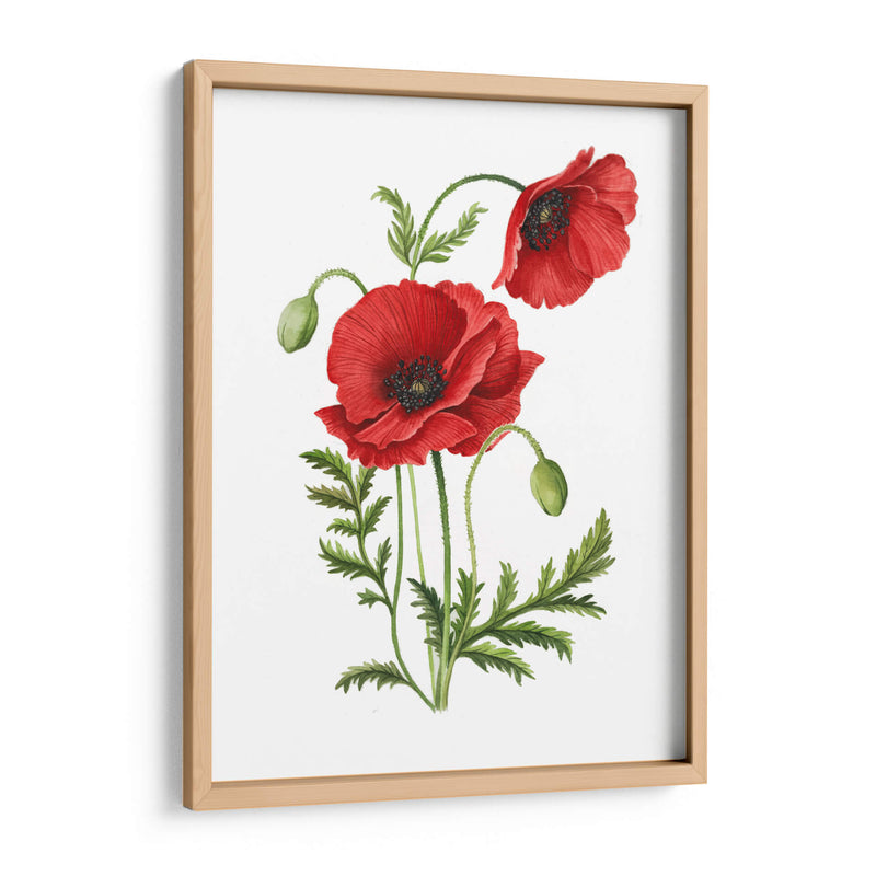 Amapola - Blanca Aurora | Cuadro decorativo de Canvas Lab