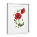 Amapola - Blanca Aurora | Cuadro decorativo de Canvas Lab