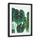 Anturio - Blanca Aurora | Cuadro decorativo de Canvas Lab