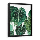 Anturio - Blanca Aurora | Cuadro decorativo de Canvas Lab