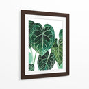 Anturio - Blanca Aurora | Cuadro decorativo de Canvas Lab