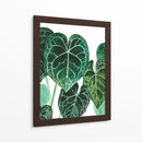 Anturio - Blanca Aurora | Cuadro decorativo de Canvas Lab