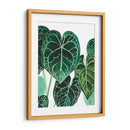 Anturio - Blanca Aurora | Cuadro decorativo de Canvas Lab