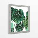 Anturio - Blanca Aurora | Cuadro decorativo de Canvas Lab